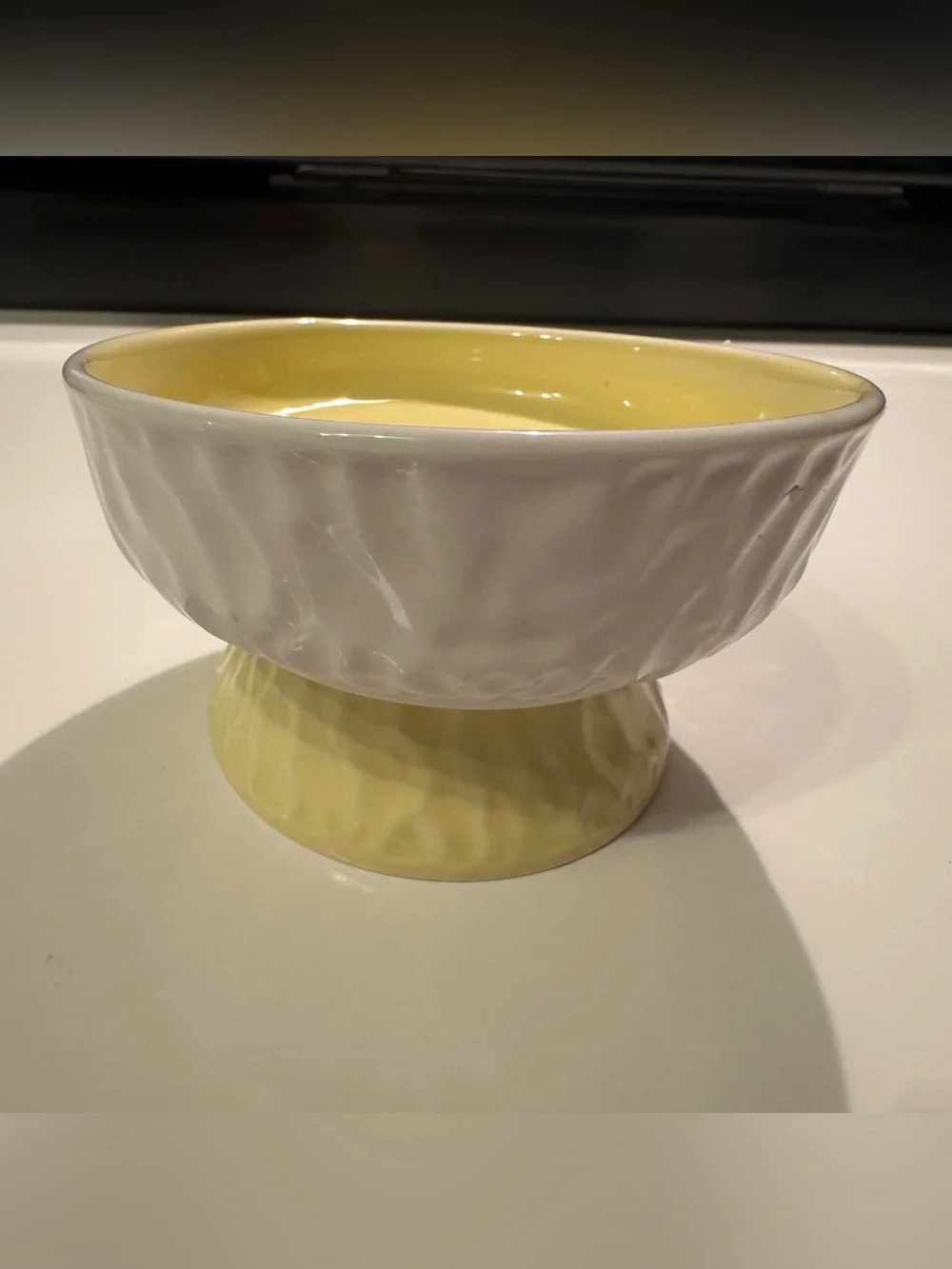 Tilted 15° Elevated Pet Food Bowl